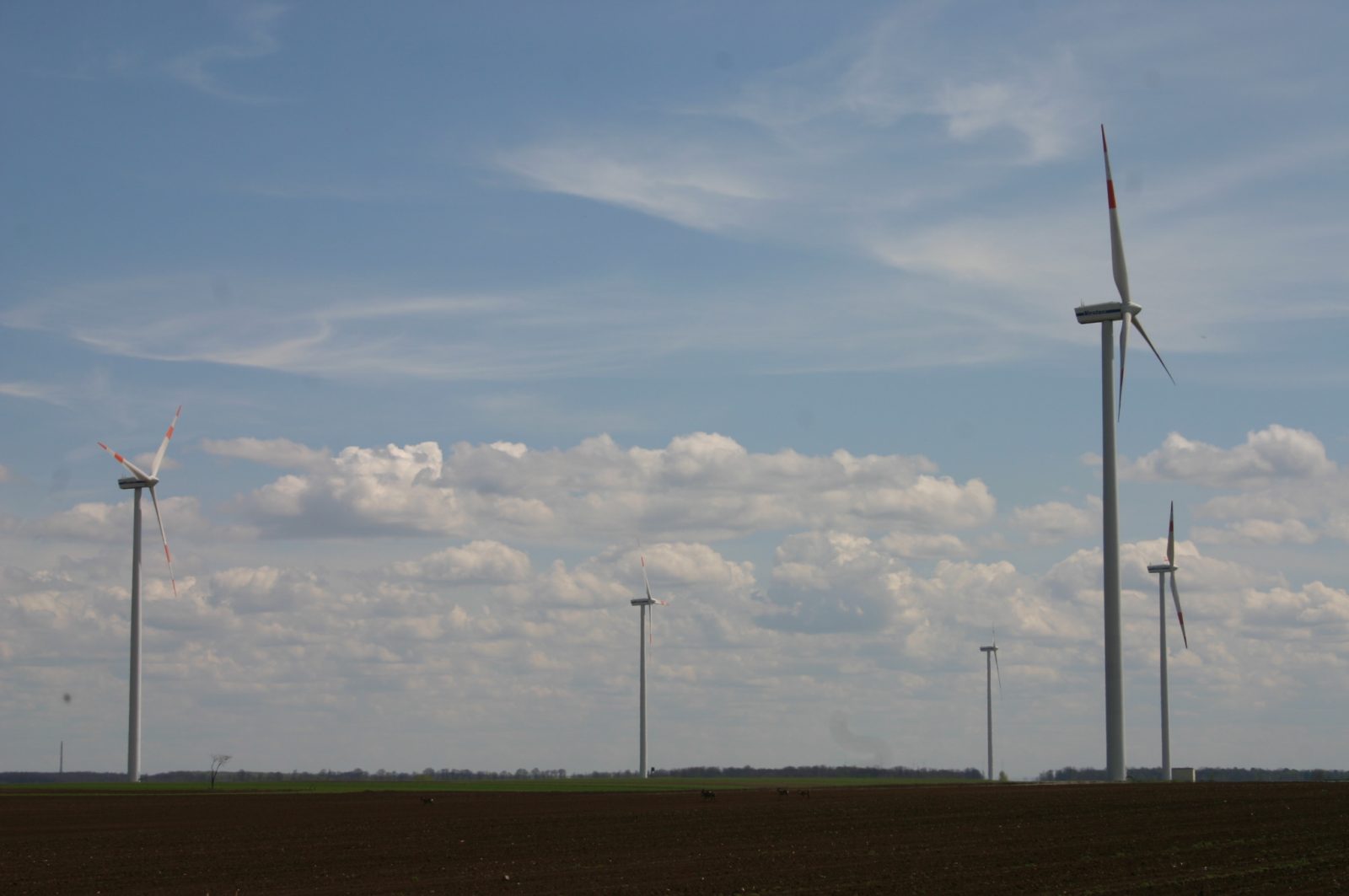 Windpark Mönchhof